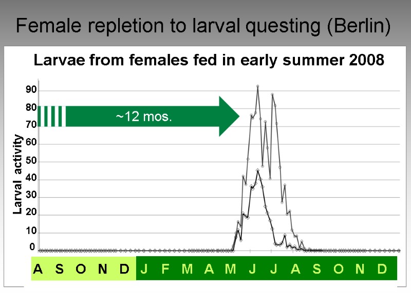Female repletion to larval questing (Berlin) Larvae from females fed in early summer 2008